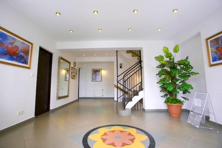 Dom Sonia Apartman Niechorze Kültér fotó